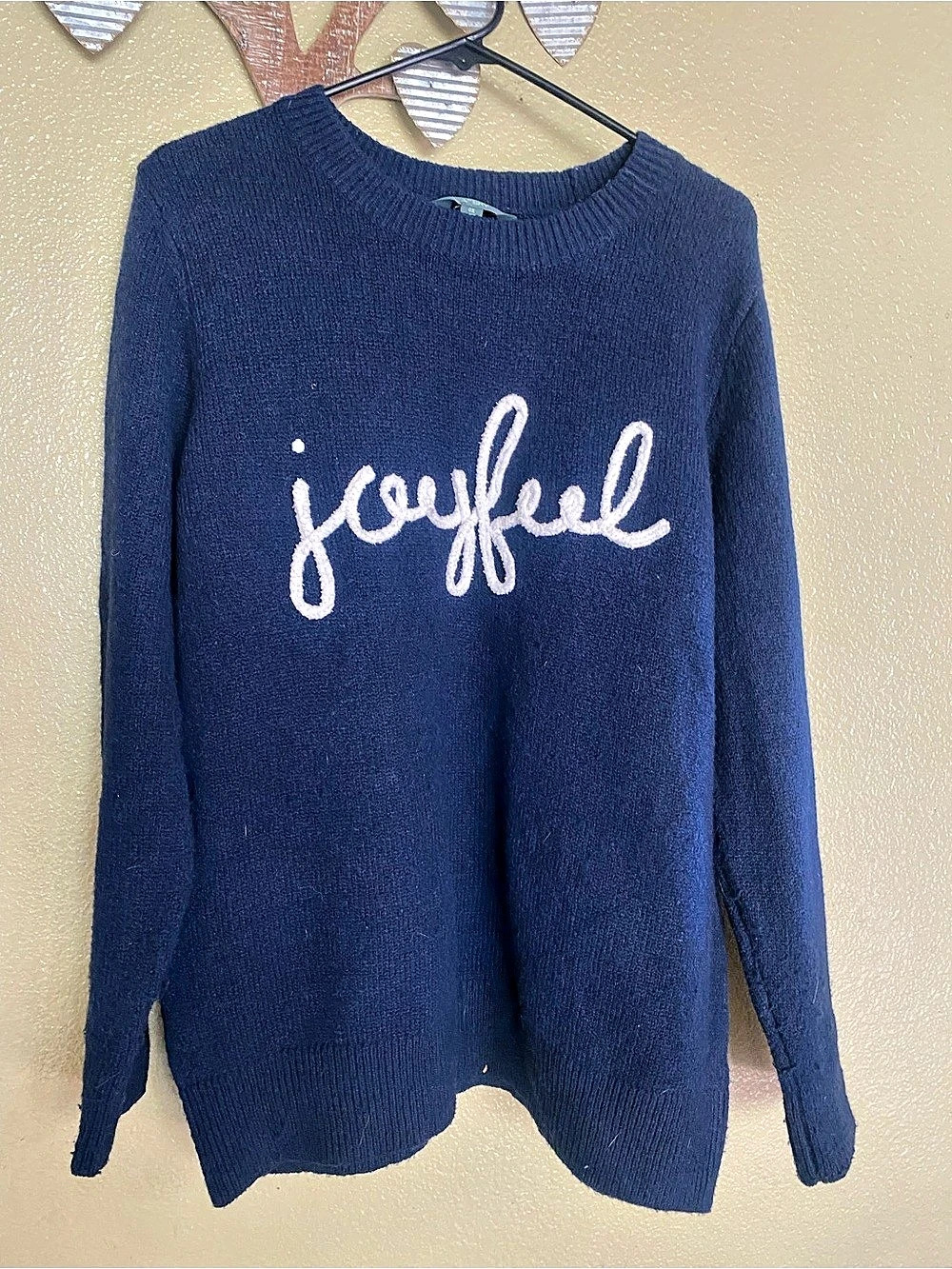 Embroidered Joyful Sweater in Blue Size XL
Oversized size 14W